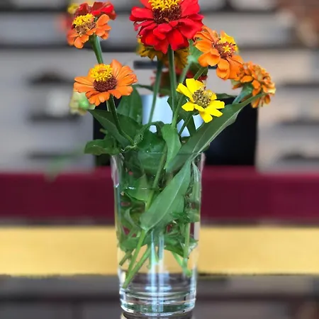 Sea&soul Genova, 120 M2, Centro * Gênes